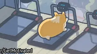 r/GetMotivated | Corgi Getting Gains
