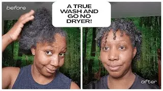 Type 4 True Wash and Go No Dryer Necessary! #grayhair #grayhairdontcare #naturalhair