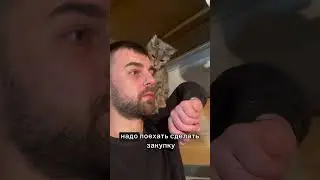 ГлавныйКот