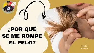 ¿POR QUÉ SE ME ROMPE EL PELO?