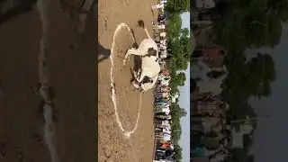 Yogesh Hwaldar Bhuapur champion Godi rani dance 🐎🐎🐎🐎🐎🐎0007
