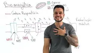 Bioquímica Celular - Respiração Aeróbica - Parte II