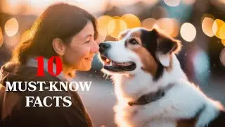 10 Facts You Need To KNOW!