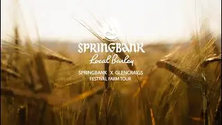 Springbank Local Barley