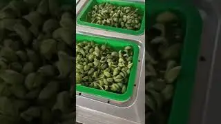 Automatic 4 track fresh vegetable tray MAP vacuum sealing machine