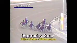 1989 The Meadows KENTUCKY SPUR Adios Pace Elimination $55,000