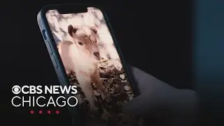 Meta, TikTok, YouTube head to trial in social media addiction lawsuit