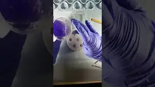 First Liquid Core Dice