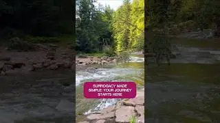 Surrogacy Made Simple: Your Path to Parenthood 👶💫 #surrogacy #parenthood #nature #path #ukraine