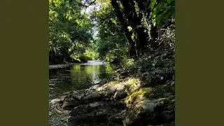 The Silent Gurgling of the Old River