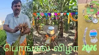 தை திருநாள் பொங்கல் விழா 2026