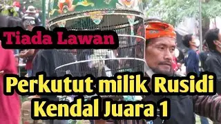 LOMBA PERKUTUT LOKAL P4LSI 2021 TIGKAT NASIONAL ..SOLO JAWA TENGAH 2021.perkutut dr Kendal juara 1
