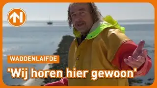 Mee met garnalenvisser Henk Buitjes | WADDENLAIFDE #1