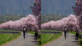 World's Largest Urban Zipline----VR Scenery