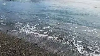 흑진주 같은 몽돌이 파도에 부딪히며조용한 자장가를 부르는 밤,잠들지 못한 마음도바다는 다정하게 품어줍니다.#흑진주몽돌해변 #몽돌바다 #불면증극복 