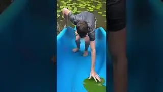 Waterslide into pool full of thirsty leaches dare gone wrong #summerfun #wildlife #adventure