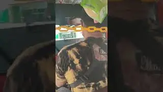 batac elocos Norte