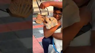 കാണുന്ന പോലെയല്ല ഇവൻ&hellip;￼Grooming time&hellip;#dog #vlog