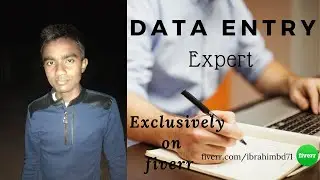 Data Entry - Data Entry Expert