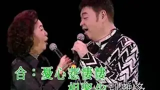 張偉文唱好自己演唱會丨情難守丨張偉文/靜婷