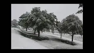 #Short .Snow falls between N3 highway outside Harrismith and Van Reenen South Africa 2023