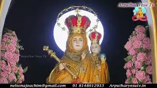 🔴16th Nov 2024 Special Mass from Shrine Basilica of Our Lady of Health Vailankanni, Nagapattinam
