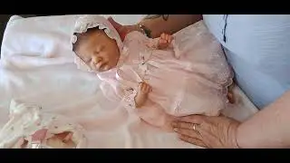 Reborn Charlotte ..