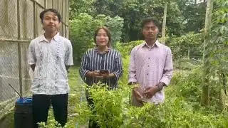 Group 3 | Analyzing and Addressing Growth Problems in Chili Plants.
