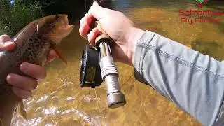Pesca en el &Oacute;rbigo: una ma&ntilde;ana calurosa
