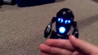 MiP videos