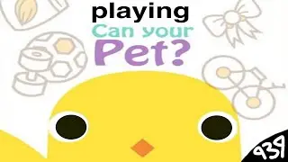 D:939 - playing can your pet?