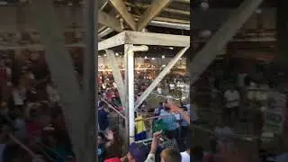 Betting in the cockfighting arena in the Philippines