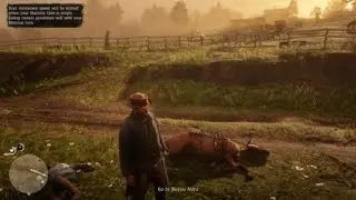 Horse insurance claim