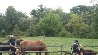 Ride Spot - Greater Philadelphia