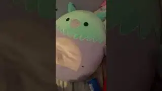 I'm not rich but a got some Rick stuff