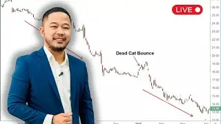Dead Cat Bounce in Crypto Explained (2025) &mdash; Is BTC, ETH, and Altcoins Just Bouncing?