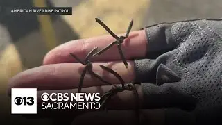 Sharp metal barbs create hazard on American River Parkway trail