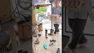 Telur Itik Tumatik