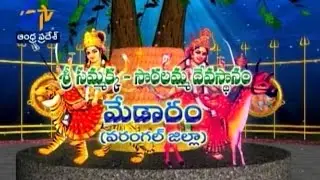 Teerthayatra - Sri Sammakka Saralamma Temple Medaram - 19th February 2016 - తీర్థయాత్ర &ndash;