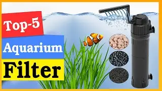 Aquarium Filter to Buy on Amazon in 2025 | filter zero water | aquarium to buy on market in 2025