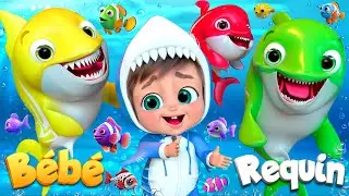 La chanson de B&eacute;b&eacute; Requin - Comptines et chansons pour enfants - Banana Cartoon