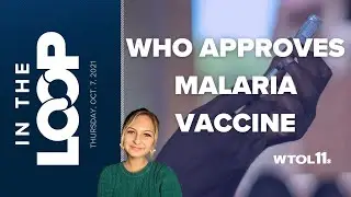 Malaria vaccine approved & more things you should know | In the Loop | #shorts