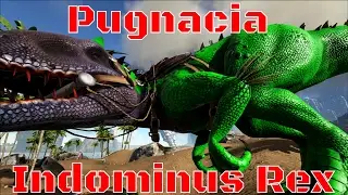 Ark: Indominus Rex Taming - How Hard Will He Hit?