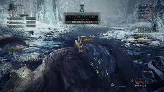 [MONSTER  HUNTER IB ]初見初心者#22 ストーリーをガッツリと(PS版)【参加型概要欄必読】