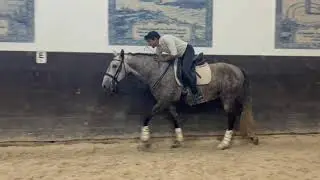 Puro d’Atela
