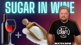 Is Wine Healthy? Sommelier Tim Tells us How Much Sugar is in Your Wine