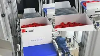 Crizaf 05 Multi Level Boxes Filling and Storage System with Shaker Station