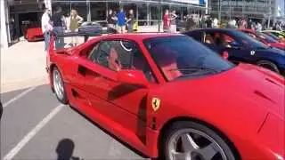 Ferrari F40 LM Conversion // Engine / Interior / Walkaround