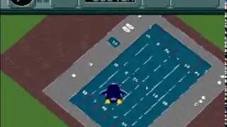 Pilotwings (SNES) - Penguin dive bonus stage 2