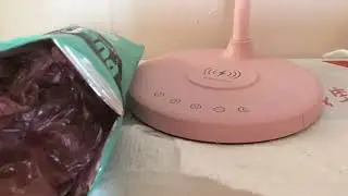 Making a squishy without paper! (Filling:plastic bags, wash chip bag before stuffing.) 📄 💼 